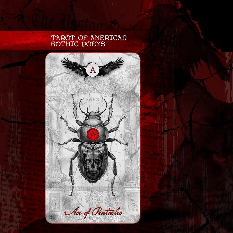 Card with beetle design and text on a dark background